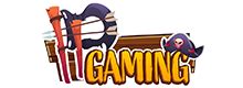 PPGaming.