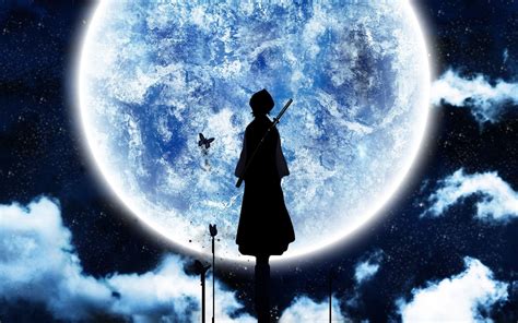 animrmoon