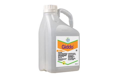 gjddoq